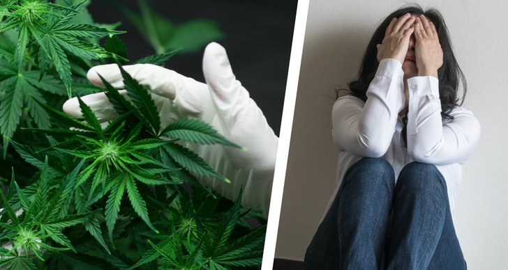 Cannabis, Psykisk Ohälsa, Forskning